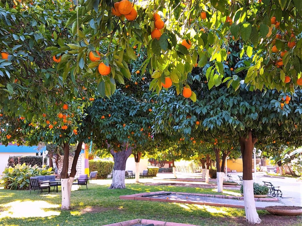 Cetinel Otel Adana Exteriér fotografie