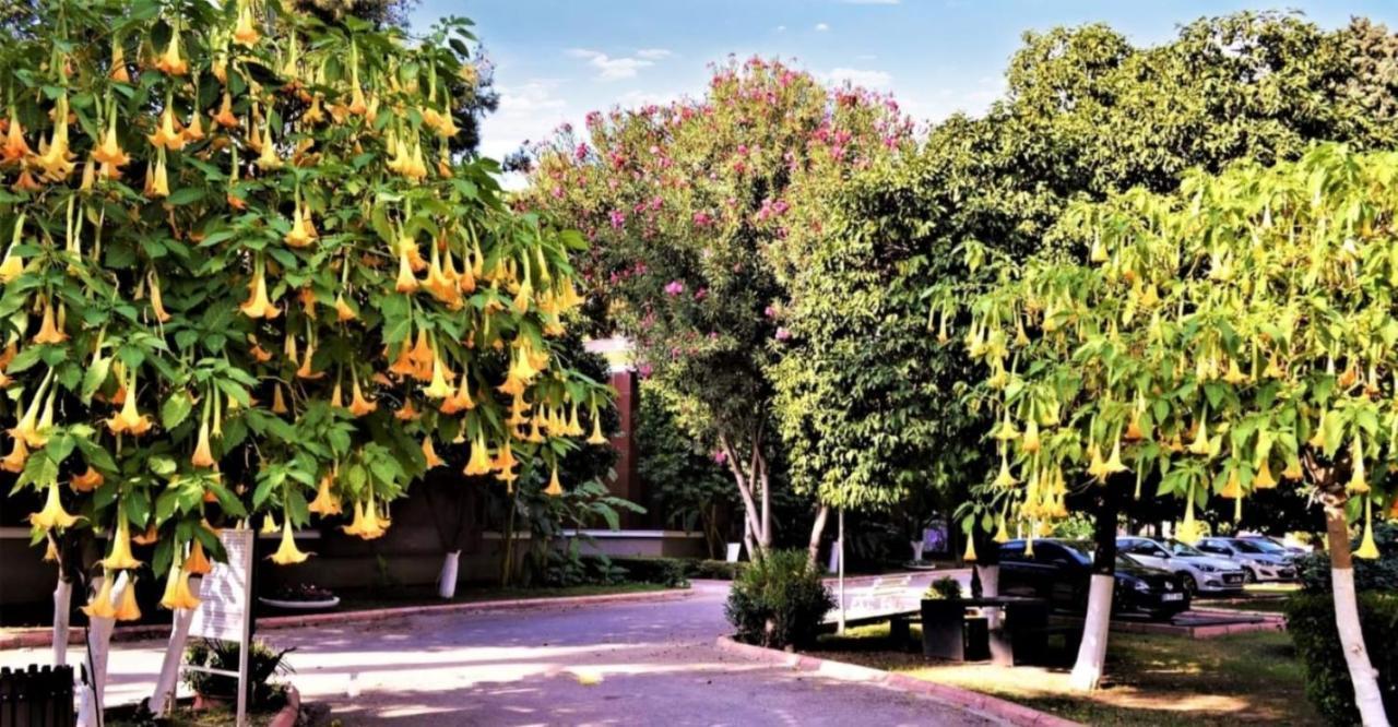Cetinel Otel Adana Exteriér fotografie